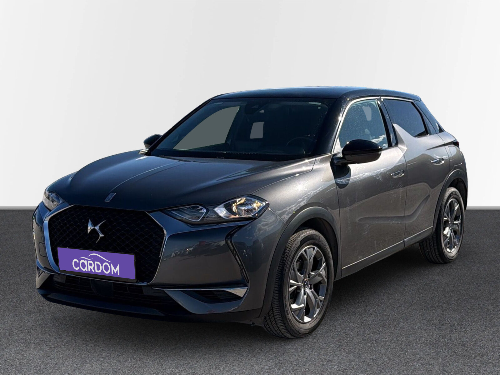 DS 3