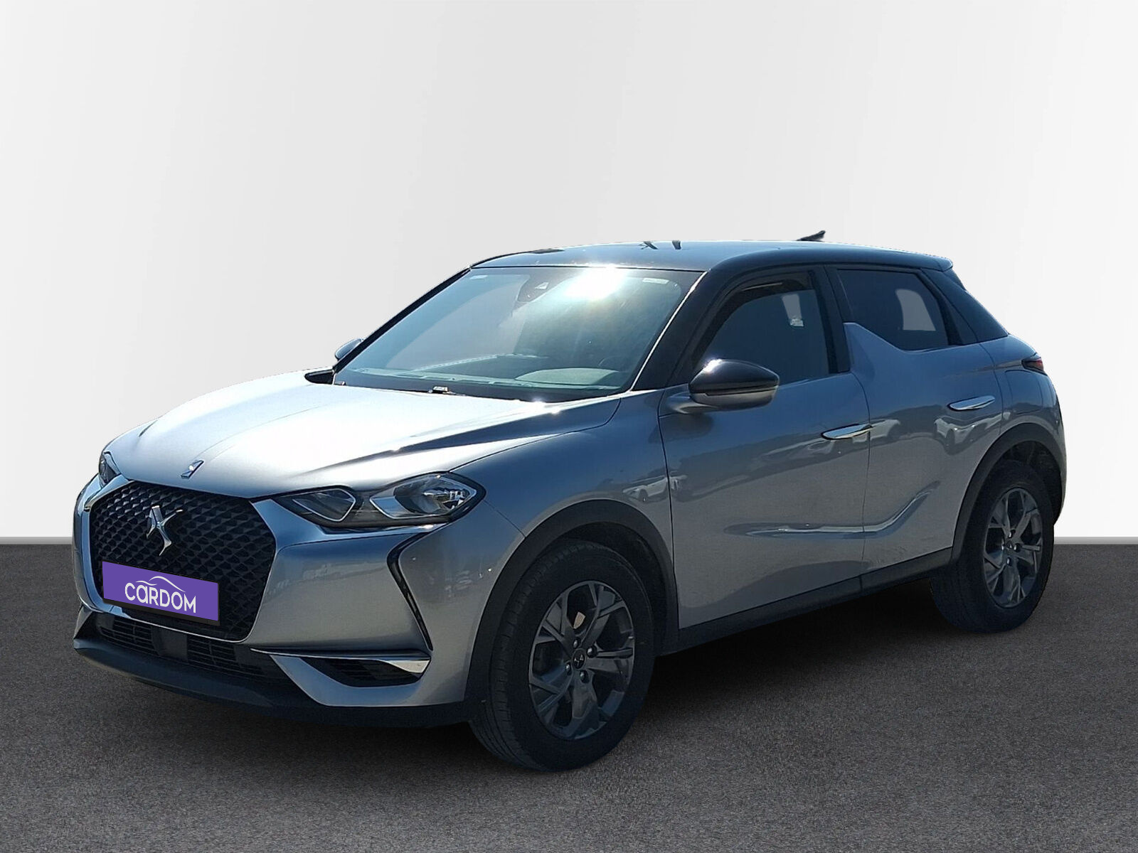 DS 3